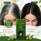 Sardar Jee Hair Color Gel promotional before-and-after graphic
